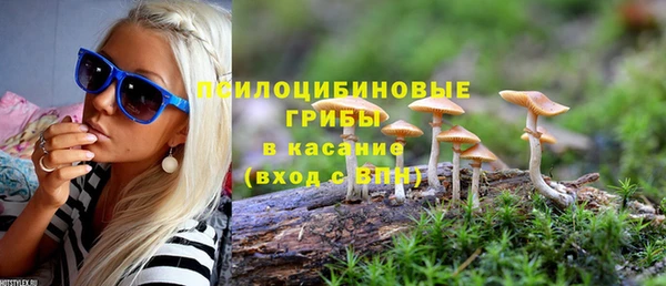 марки lsd Заводоуковск