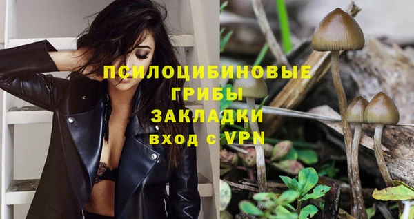 СК Алзамай