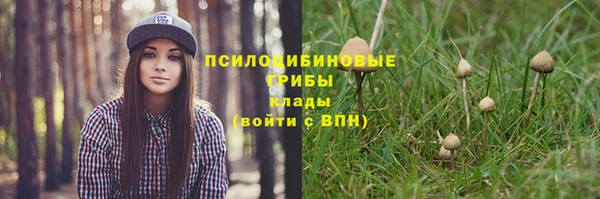 кокс Абдулино